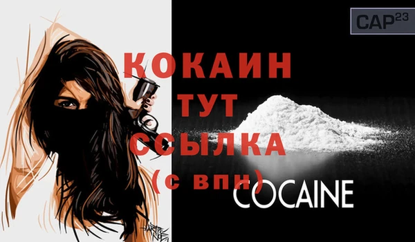 прущие грибы Богородицк