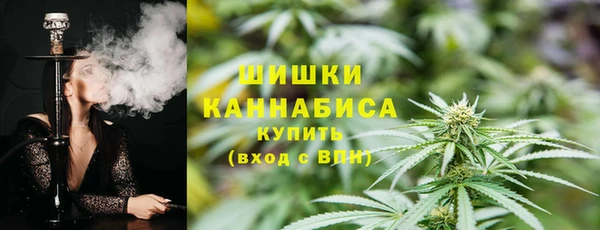 mix Богородск