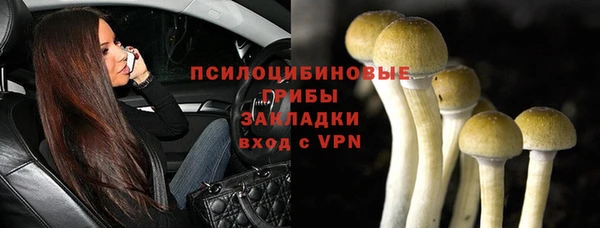 эйфоретик Бородино