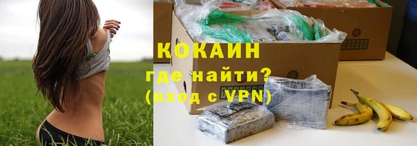 дживик Богданович