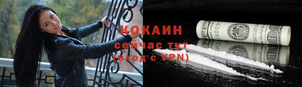 дживик Богданович