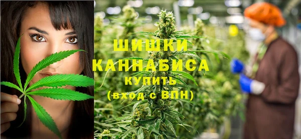 прущие грибы Богородицк