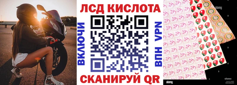 Купить где  Катайск  Марки N-bome 1,8мг 