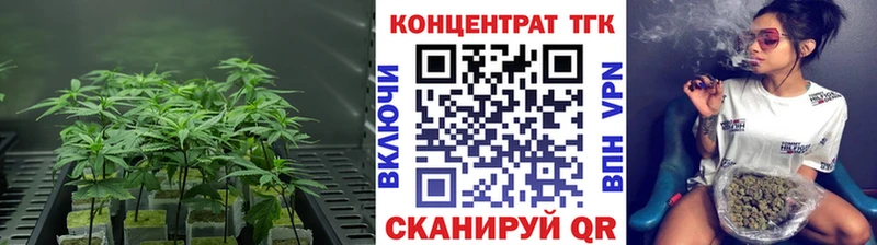 Купить где  Катайск  Дистиллят ТГК концентрат 