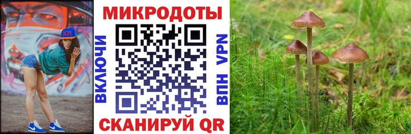 Псилоцибиновые грибы мицелий  Купить  Катайск 
